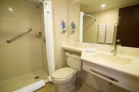 Shower, free toiletries, hair dryer, towels