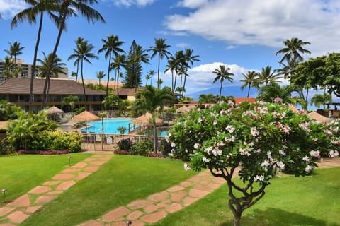 Condo, 1 Bedroom | Pool | Outdoor pool