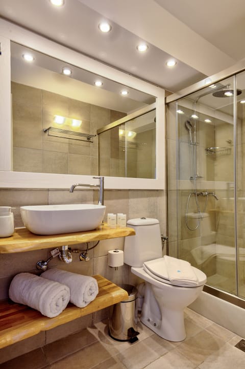 Economy Room | Bathroom | Shower, free toiletries, hair dryer, slippers