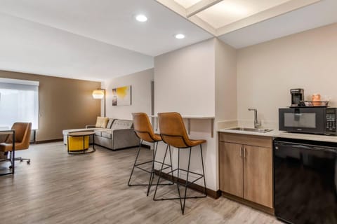 Suite, 1 King Bed with Sofa bed, Non Smoking (Efficiency) | Premium bedding, individually decorated, desk, laptop workspace