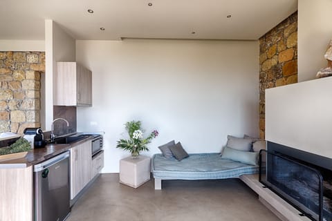 Junior Studio Suite | Living area | Flat-screen TV, fireplace