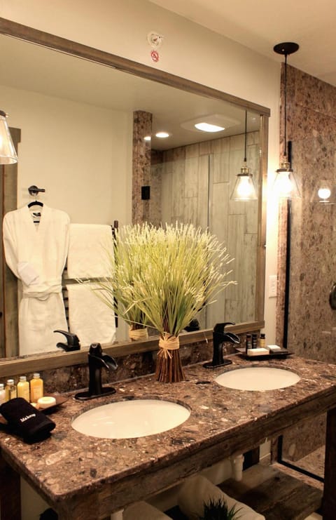 Shower, free toiletries, bathrobes, slippers