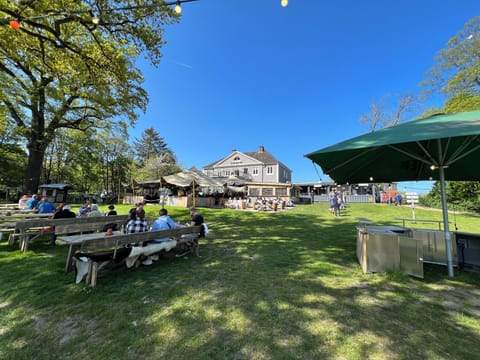 Lunch and dinner served, Regional cuisine