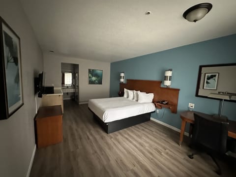 Room, 1 Queen Bed, Accessible, Non Smoking (Mobility/Hearing Impaired) | Desk, laptop workspace, blackout drapes, iron/ironing board