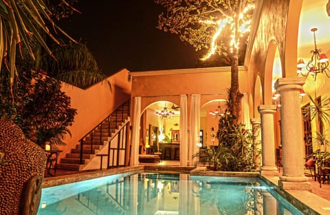 Outdoor pool, sun loungers