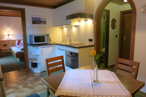 Apartment, 1 Bedroom, Balcony, Mountain View | Private kitchen | Fridge, microwave, oven, stovetop