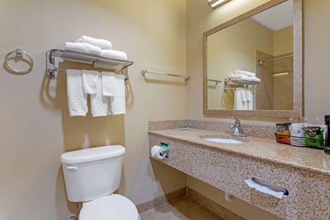 Suite, 1 King Bed, Non Smoking, Refrigerator & Microwave (with Sofabed) | Bathroom | Combined shower/tub, hair dryer, towels