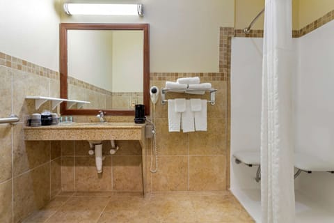 Standard Room, 2 Queen Beds, Accessible, Refrigerator & Microwave | Bathroom | Combined shower/tub, hair dryer, towels
