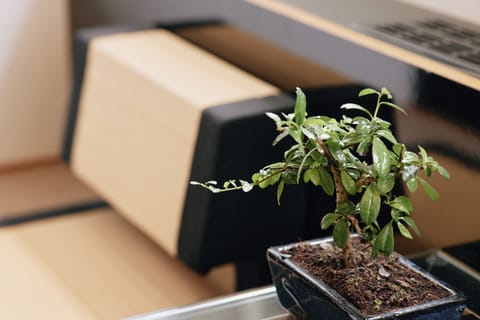 Design Room (Very Popular) | Hypo-allergenic bedding, individually decorated, individually furnished