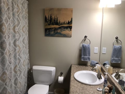 Combined shower/tub, free toiletries, hair dryer, towels