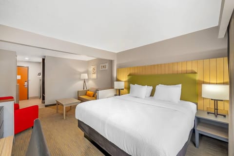 Room, 1 King Bed, Accessible, Non Smoking | Desk, laptop workspace, blackout drapes, iron/ironing board