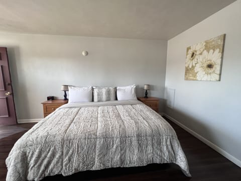 Basic Single Room, 1 King Bed | Desk, laptop workspace, blackout drapes, iron/ironing board