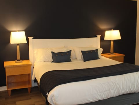 Double Room | Premium bedding, down comforters, iron/ironing board, free WiFi