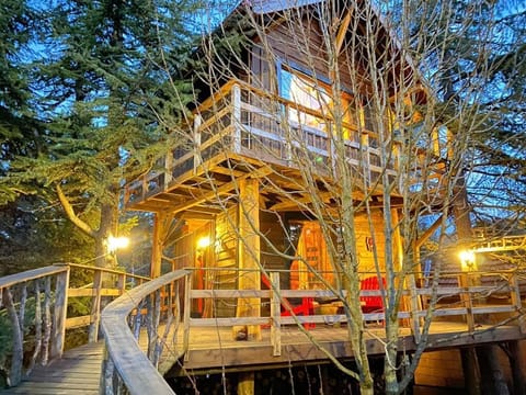Family Tree House, 1 Bedroom, Balcony, Mountain View | Free WiFi, bed sheets