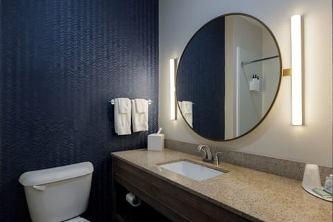 Combined shower/tub, free toiletries, hair dryer, towels