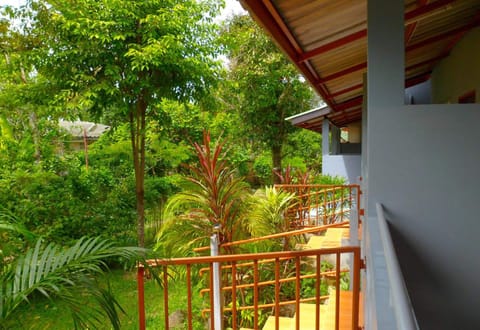 View from room