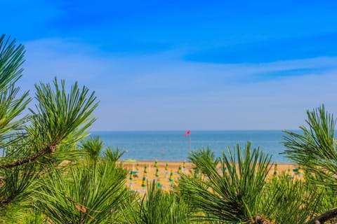 Private beach, white sand, sun loungers, beach umbrellas