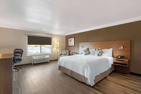 Standard Room, 1 King Bed, Non Smoking, Bathtub | Egyptian cotton sheets, premium bedding, Select Comfort beds