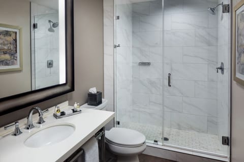 Free toiletries, hair dryer, towels