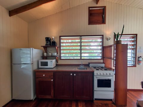 Angelfish 1-bedroom apartment | Private kitchen | Oven, dishwasher, toaster, blender