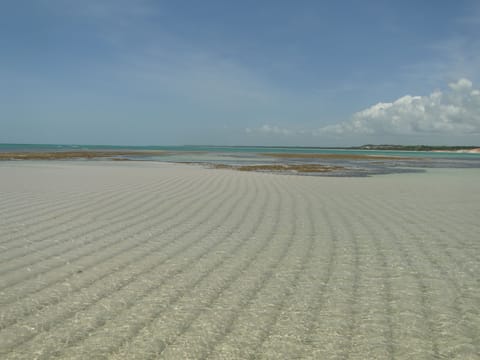 Snorkeling, 5 beach bars, kayaking