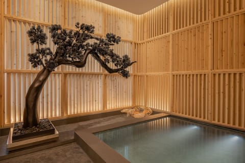 Couples treatment rooms, hot tub, steam room, body treatments