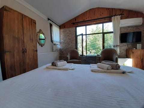 Double Room | Minibar, desk, iron/ironing board, free WiFi