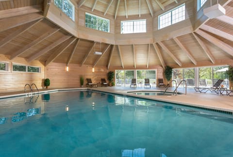 Indoor pool, sun loungers