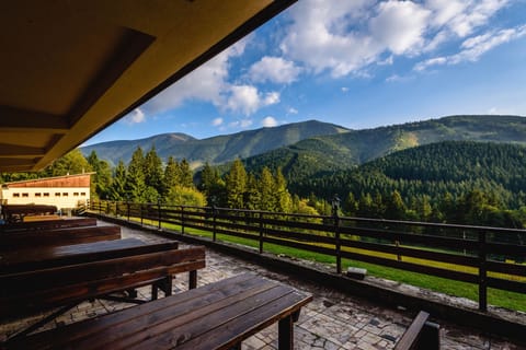 Mountain view