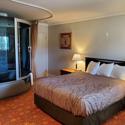 Blackout drapes, iron/ironing board, WiFi (free), bed sheets