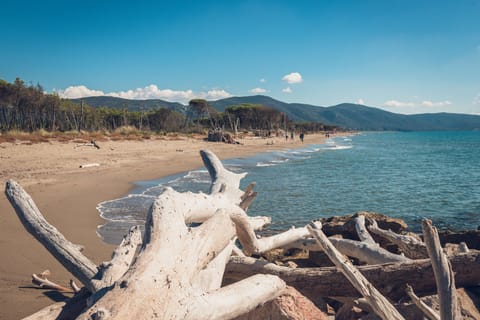 Beach nearby, white sand, rowing, fishing