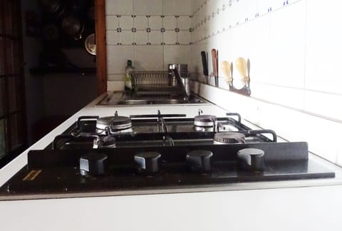 Villa, 2 Bedrooms, Mountain View | Private kitchen | Fridge, stovetop, coffee/tea maker, cookware/dishes/utensils