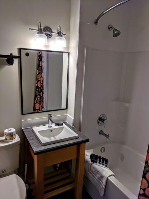 Rainfall showerhead, hair dryer, towels