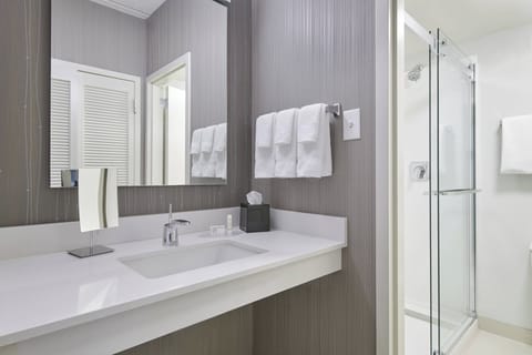 Combined shower/tub, free toiletries, hair dryer, towels