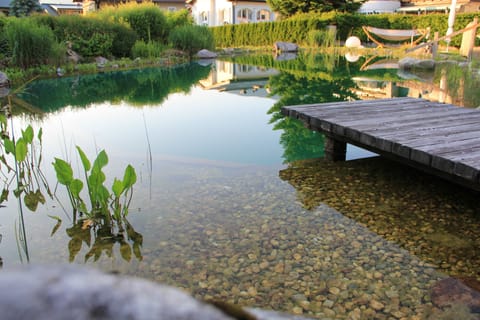 Seasonal outdoor pool, a natural pool, pool umbrellas, sun loungers