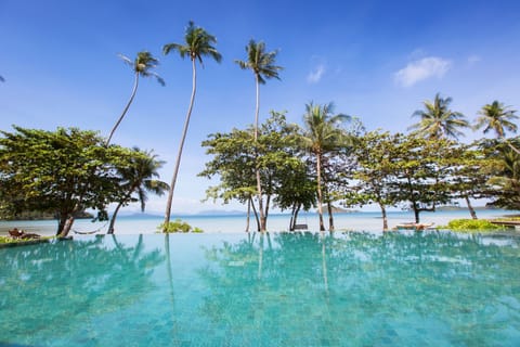 Outdoor pool, sun loungers