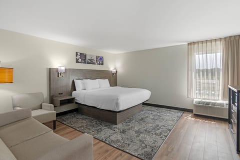 Standard Room, Multiple Beds, Non Smoking | Iron/ironing board, rollaway beds, free WiFi, bed sheets