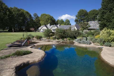 Outdoor pool, a natural pool, sun loungers