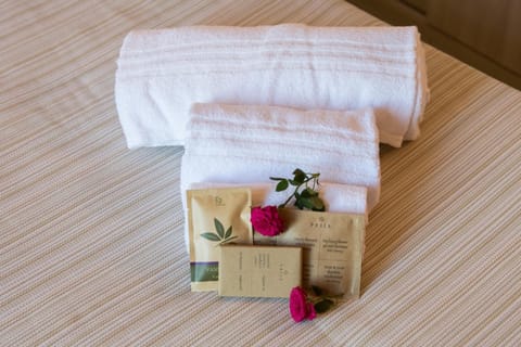 Domus il Palio B&B Townhouse in Siena