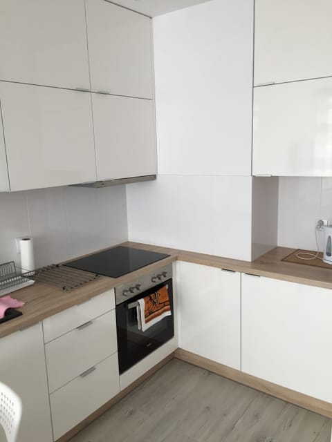 Apartment (Widokowy) | Private kitchen | Fridge, microwave, oven, stovetop
