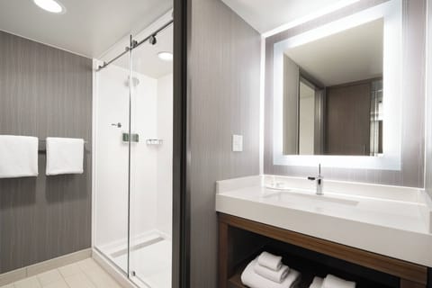 Combined shower/tub, free toiletries, hair dryer, towels