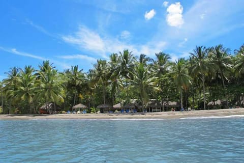 Private beach, sun loungers, beach towels