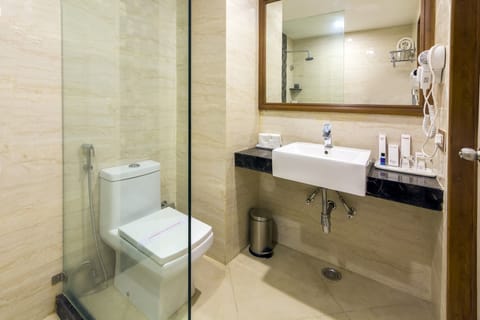 Shower, hair dryer (on request), bathrobes, slippers