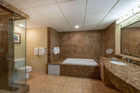 Combined shower/tub, free toiletries, hair dryer, towels