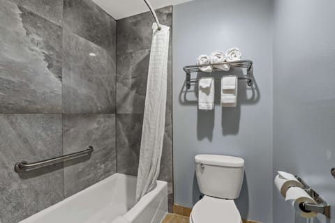 Combined shower/tub, free toiletries, hair dryer, towels