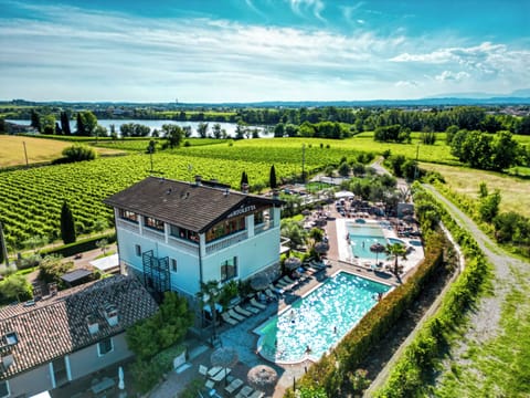 Seasonal outdoor pool, pool umbrellas, sun loungers