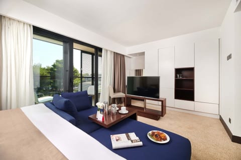 Superior Room, Balcony, Park View | Minibar, in-room safe, desk, blackout drapes