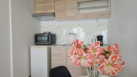 Studio, Sea View | Private kitchen | Fridge, coffee/tea maker, electric kettle