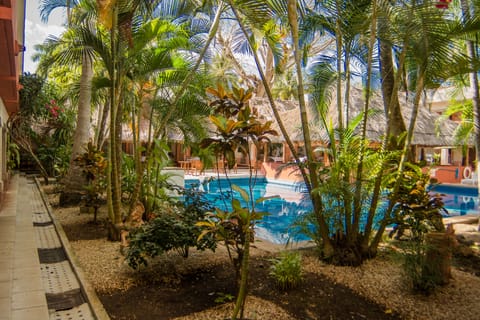 Outdoor pool, pool umbrellas, sun loungers