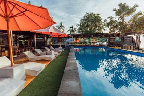 Outdoor pool, sun loungers